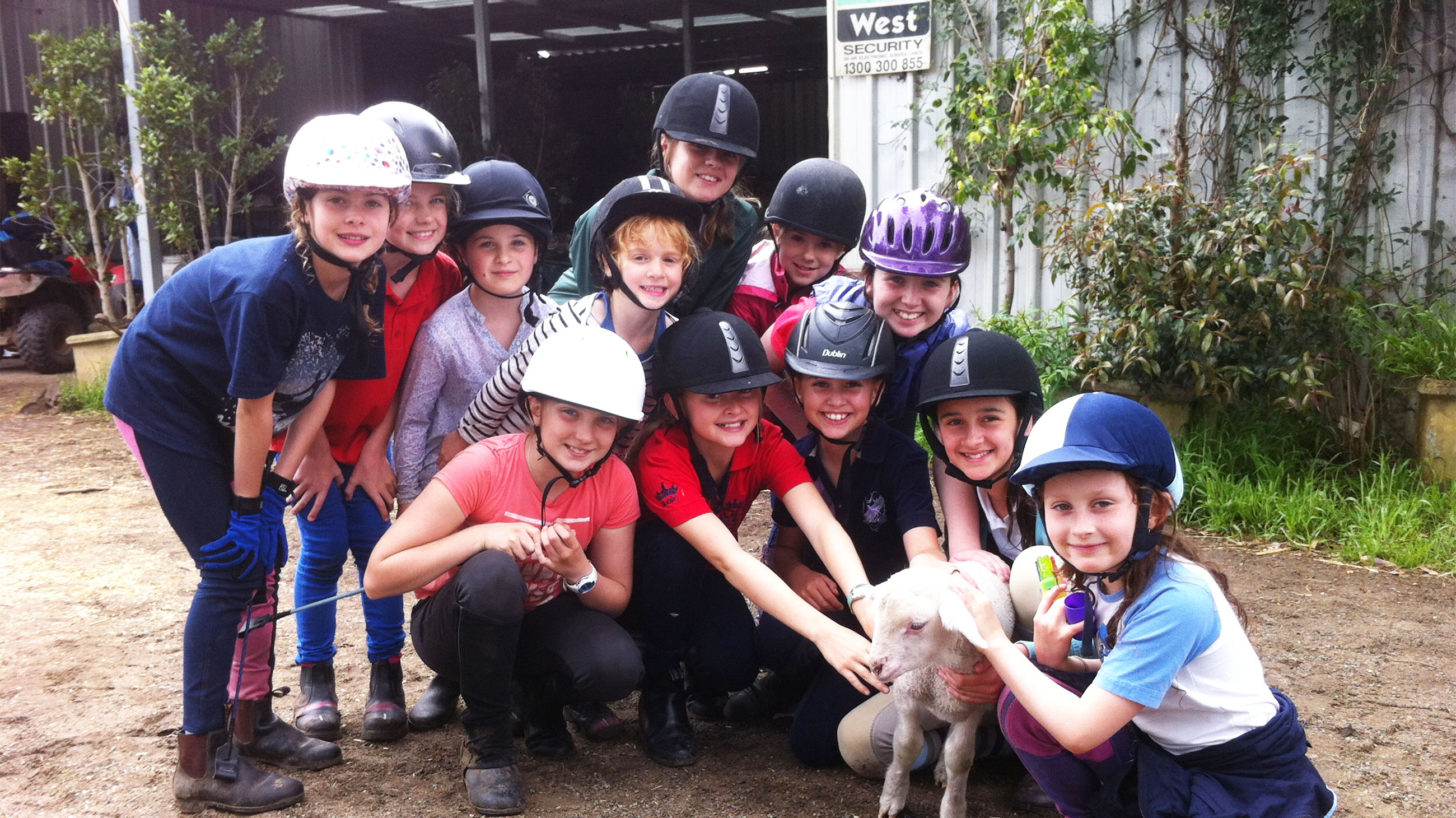 Showgrounds Equestrian Centre - "No hour of life spent in the saddle is wasted"
